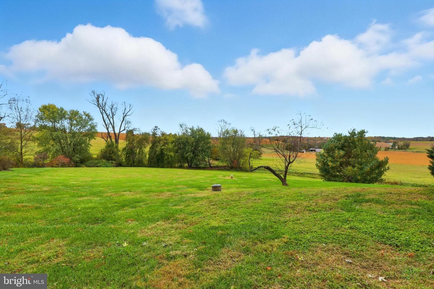 1038 Woodshire Lane photo 78