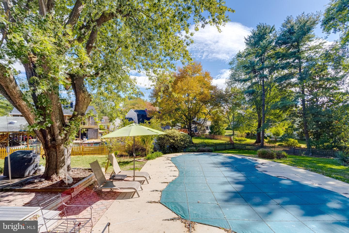 221 Kershaw Court photo 61