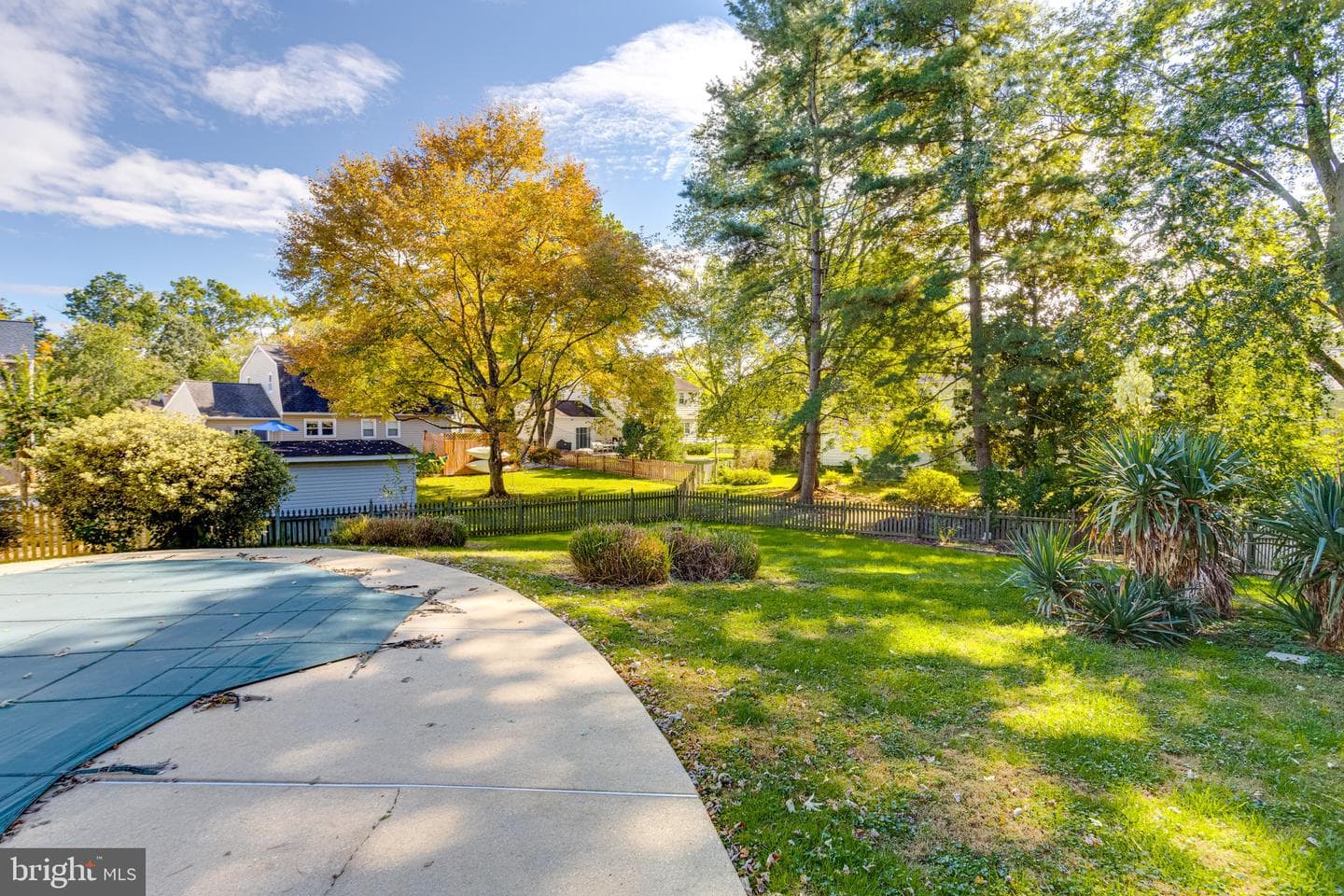 221 Kershaw Court photo 67