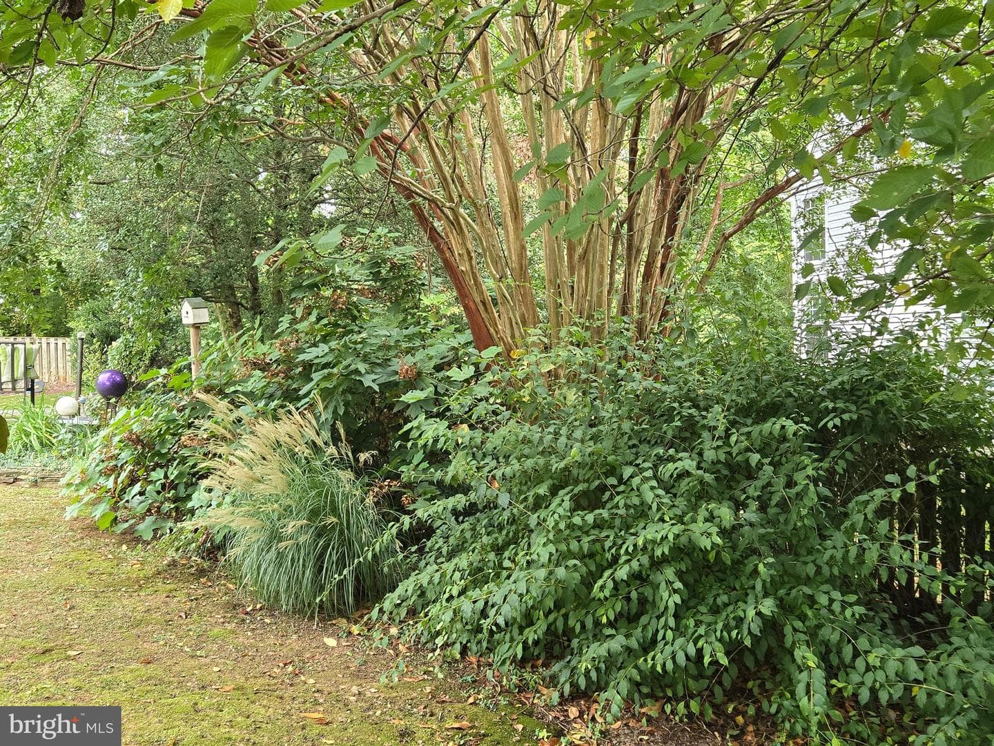 3305 Berlin Ct photo 75