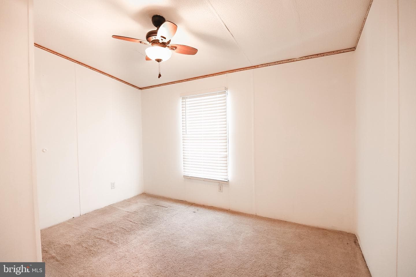 1822 Emily Drive photo 8