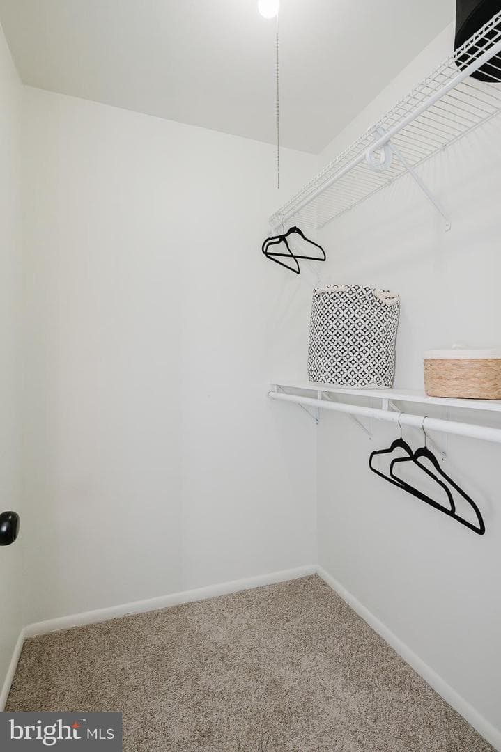 1454 Harford Square Drive photo 25