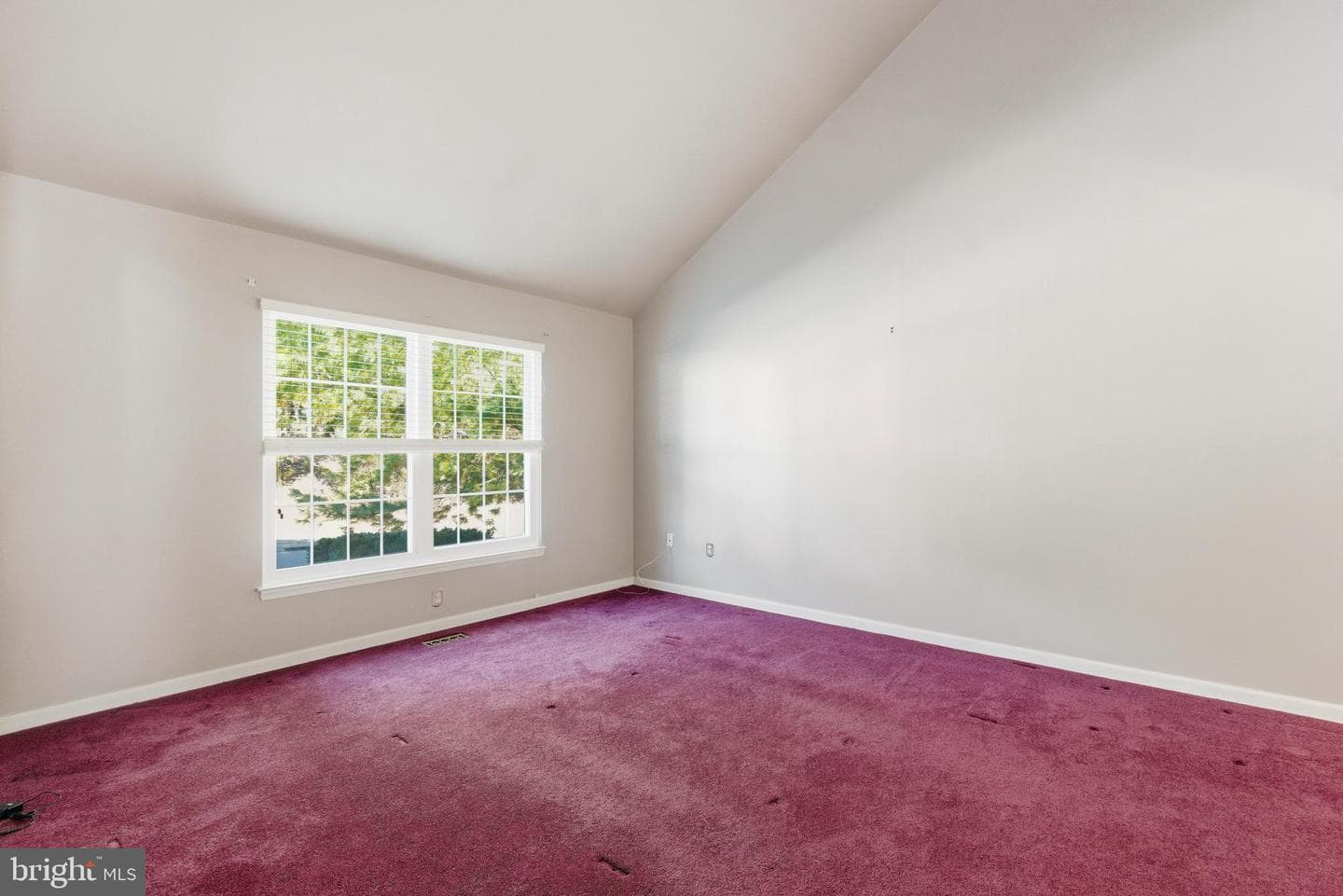 395 Enfield Road photo 6