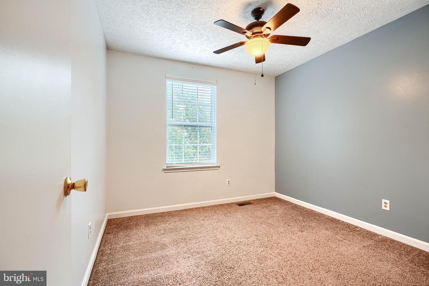 545 Hall Court photo 38