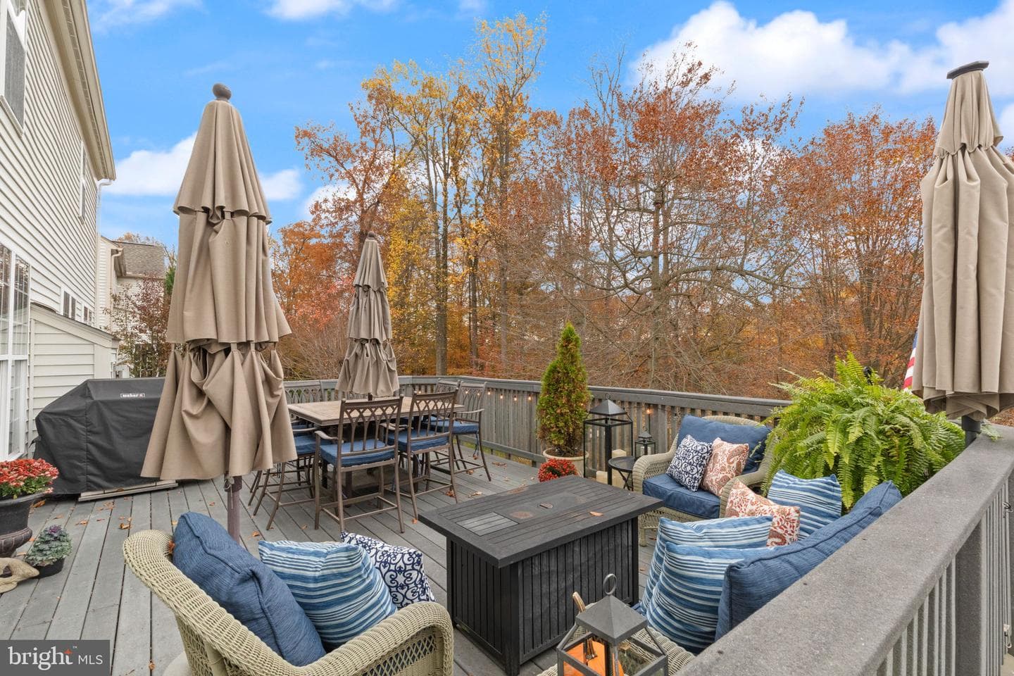 1011 Saddleback Way photo 49