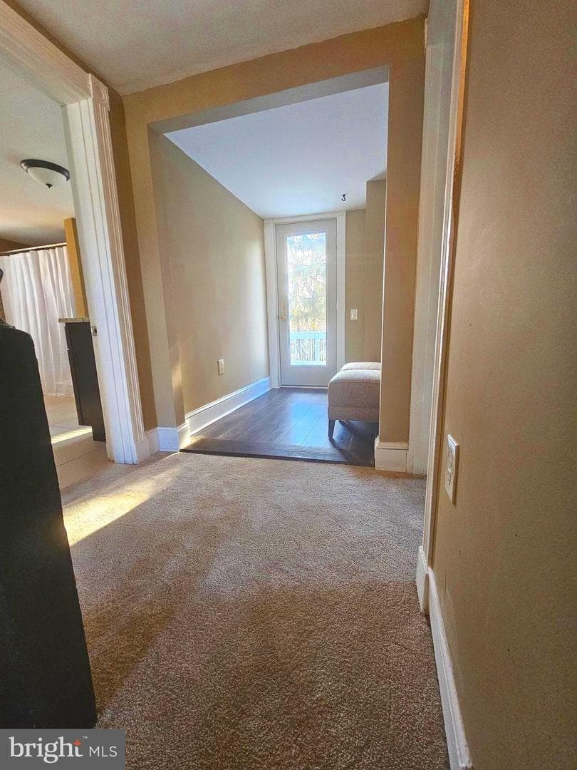 312 Lafayette Street photo 50