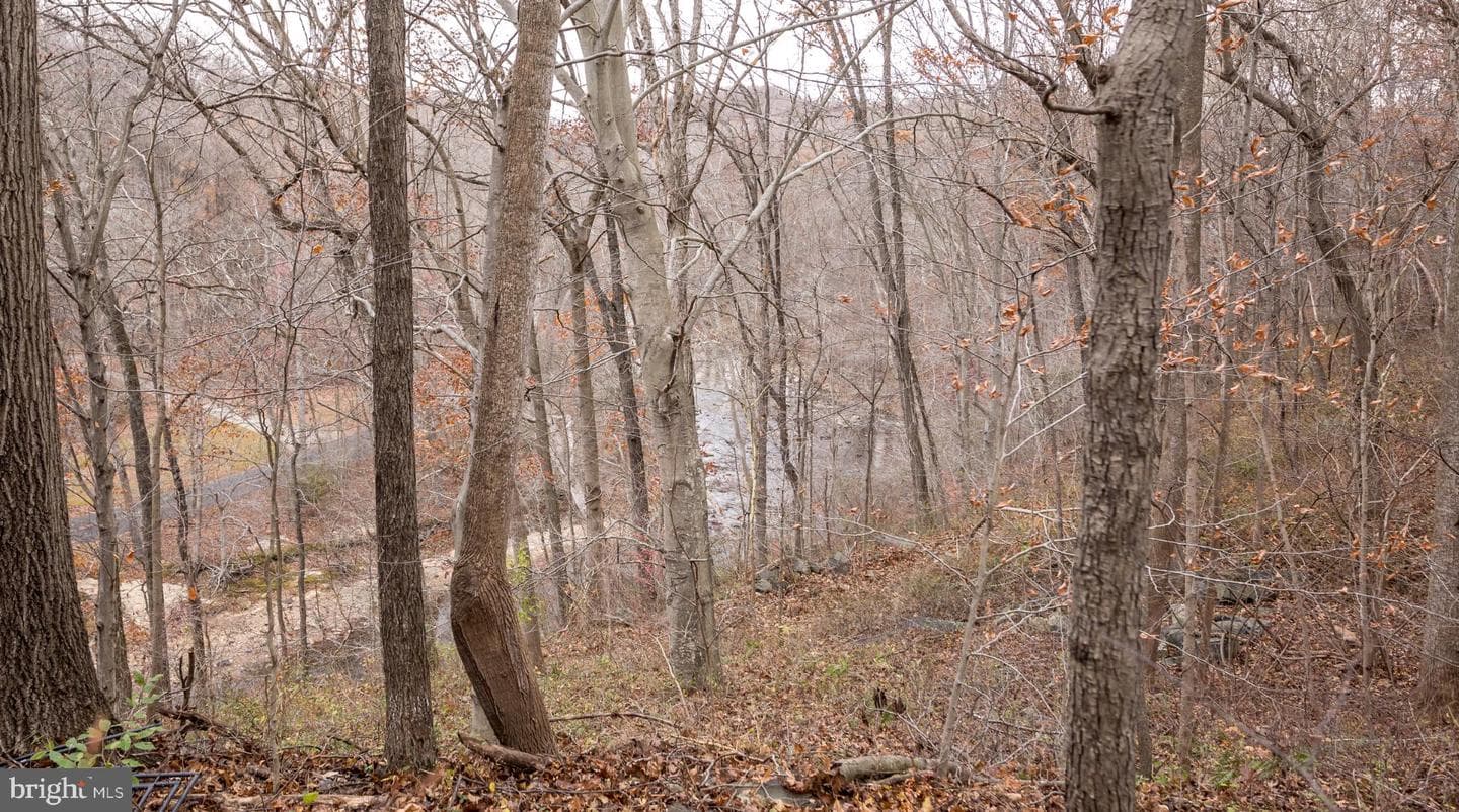 714 Shallow Ridge Court photo 36