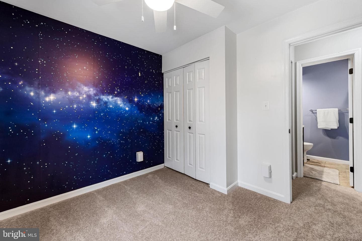 423 Oakton Way photo 24