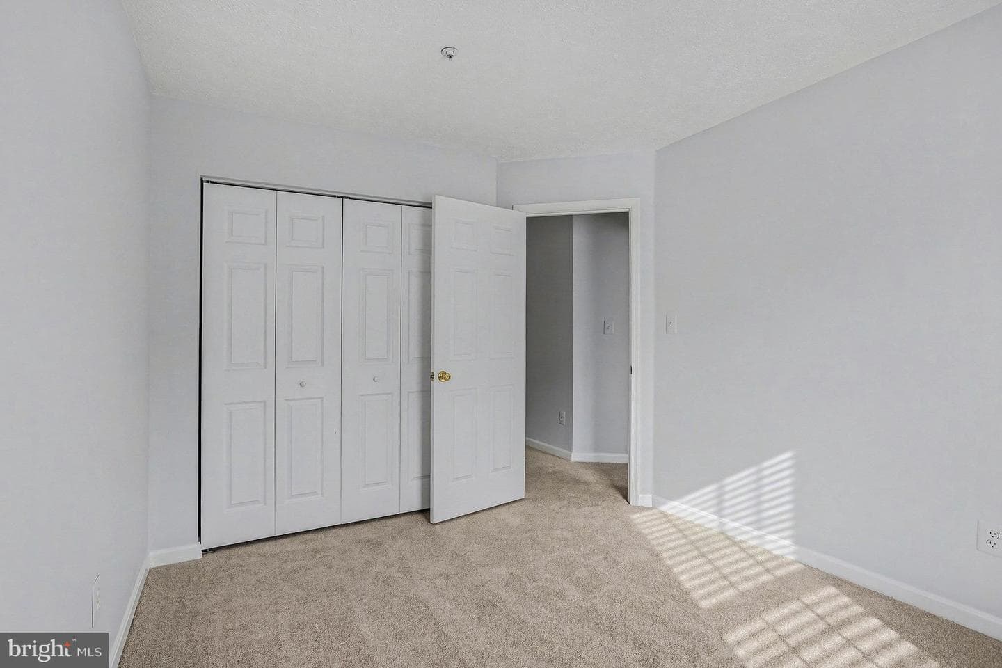 3902 Bush Court photo 24