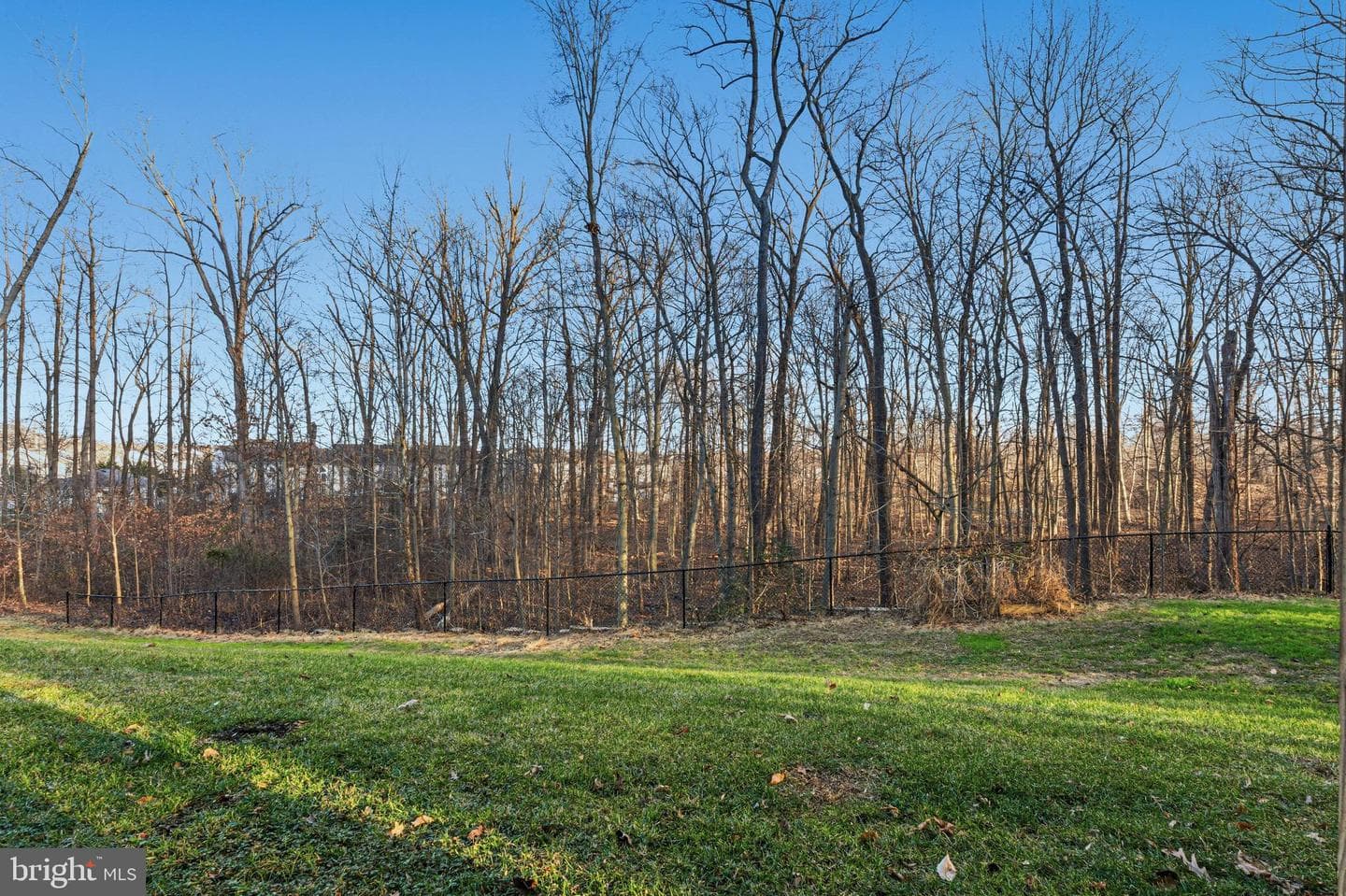617 English Ivy Way photo 6