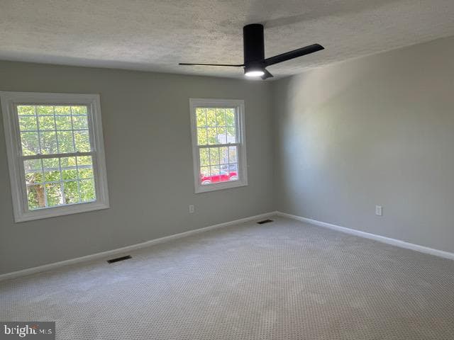 903 Garland Court photo 21