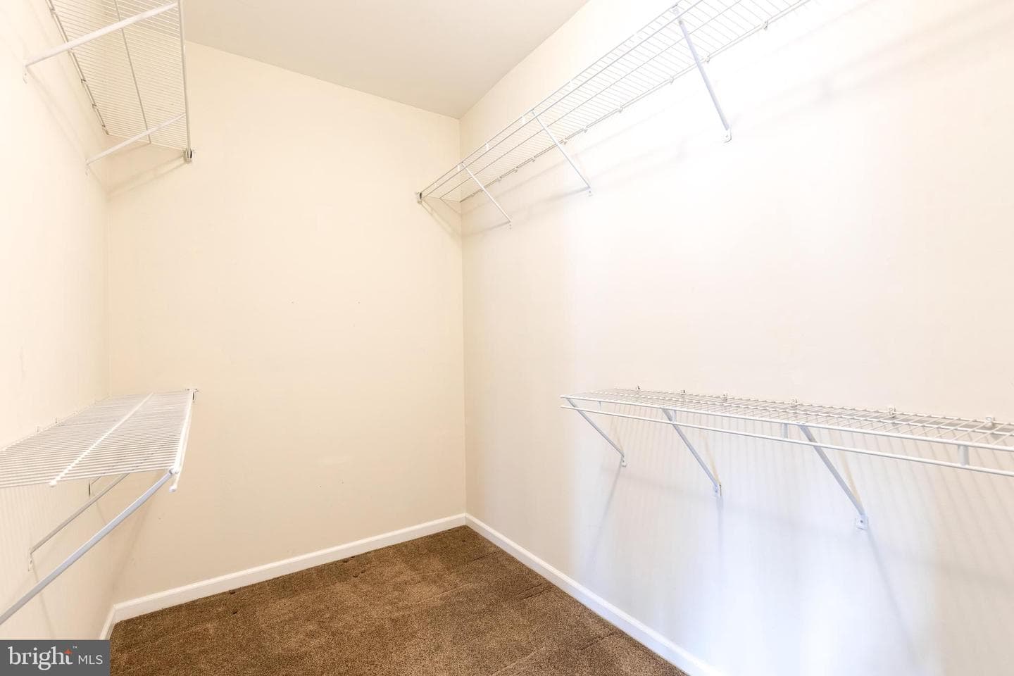 204 Secretariat Drive #204-D photo 19
