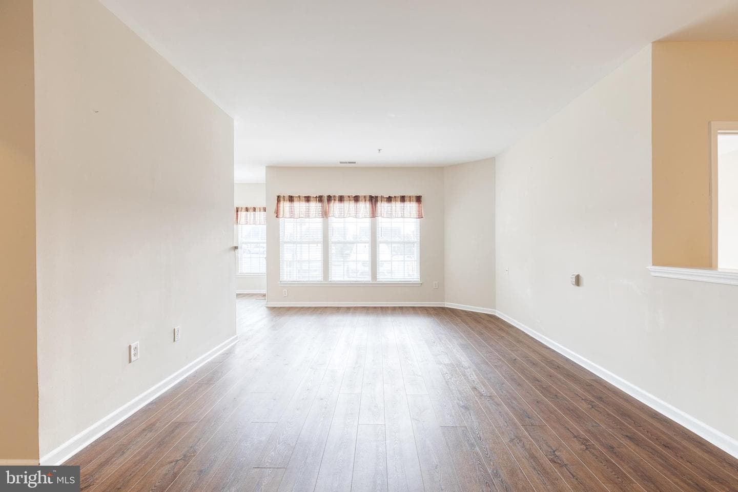 204 Secretariat Drive #204-D photo 4