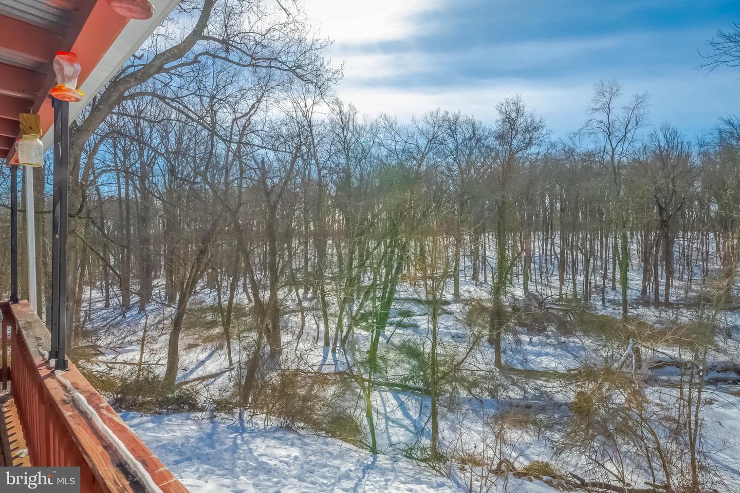 1628 N Bend Road photo 38