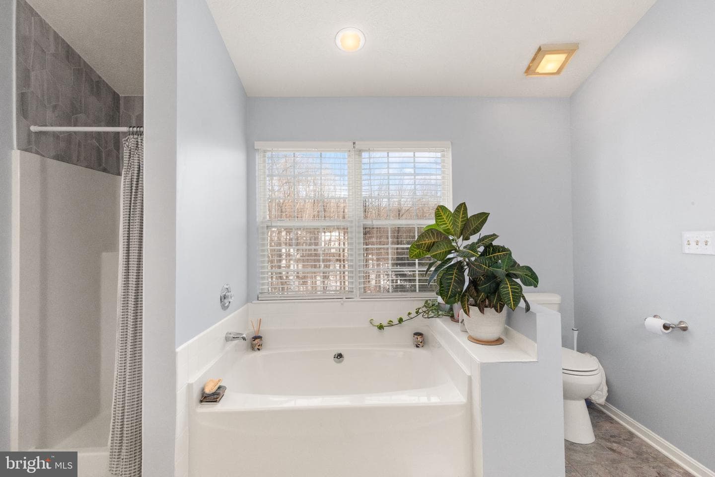 3303 Trellis Lane photo 16