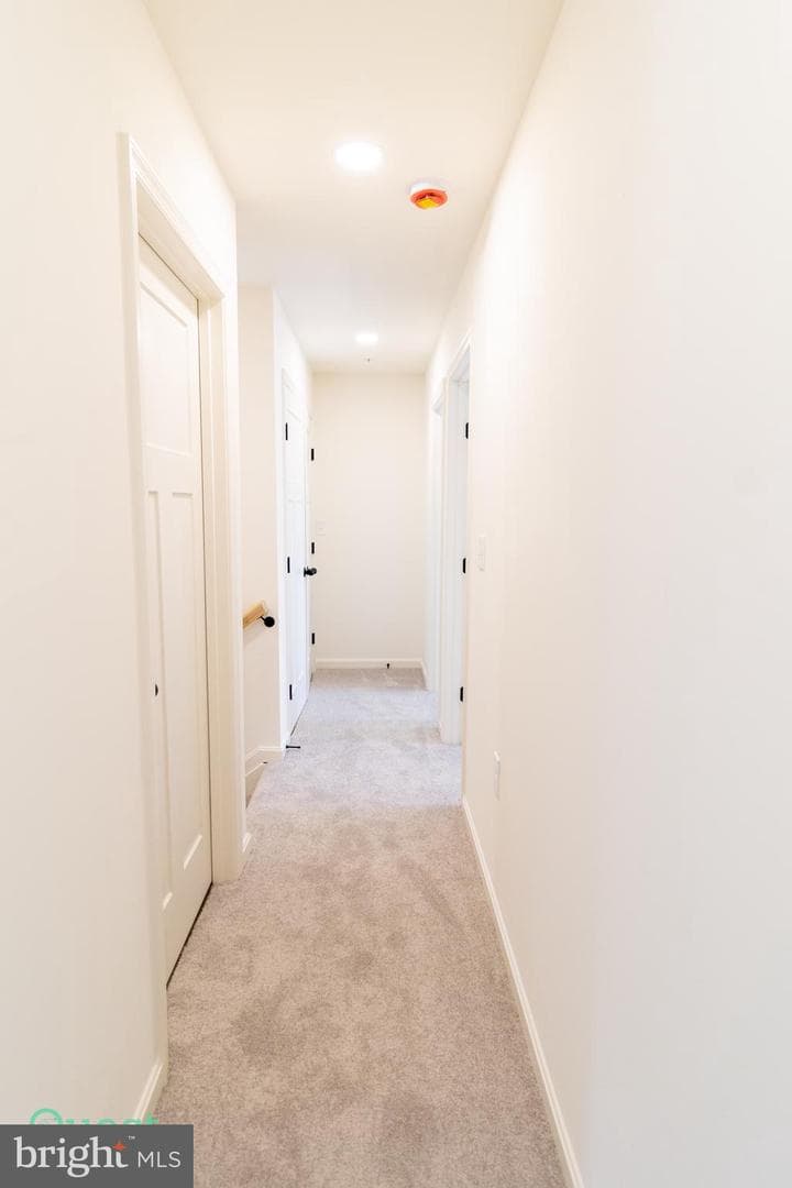 2113 Nuttal Avenue photo 55