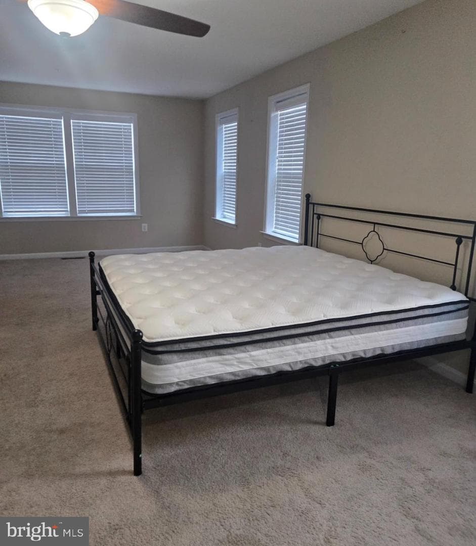 1652 Livingston Drive photo 19