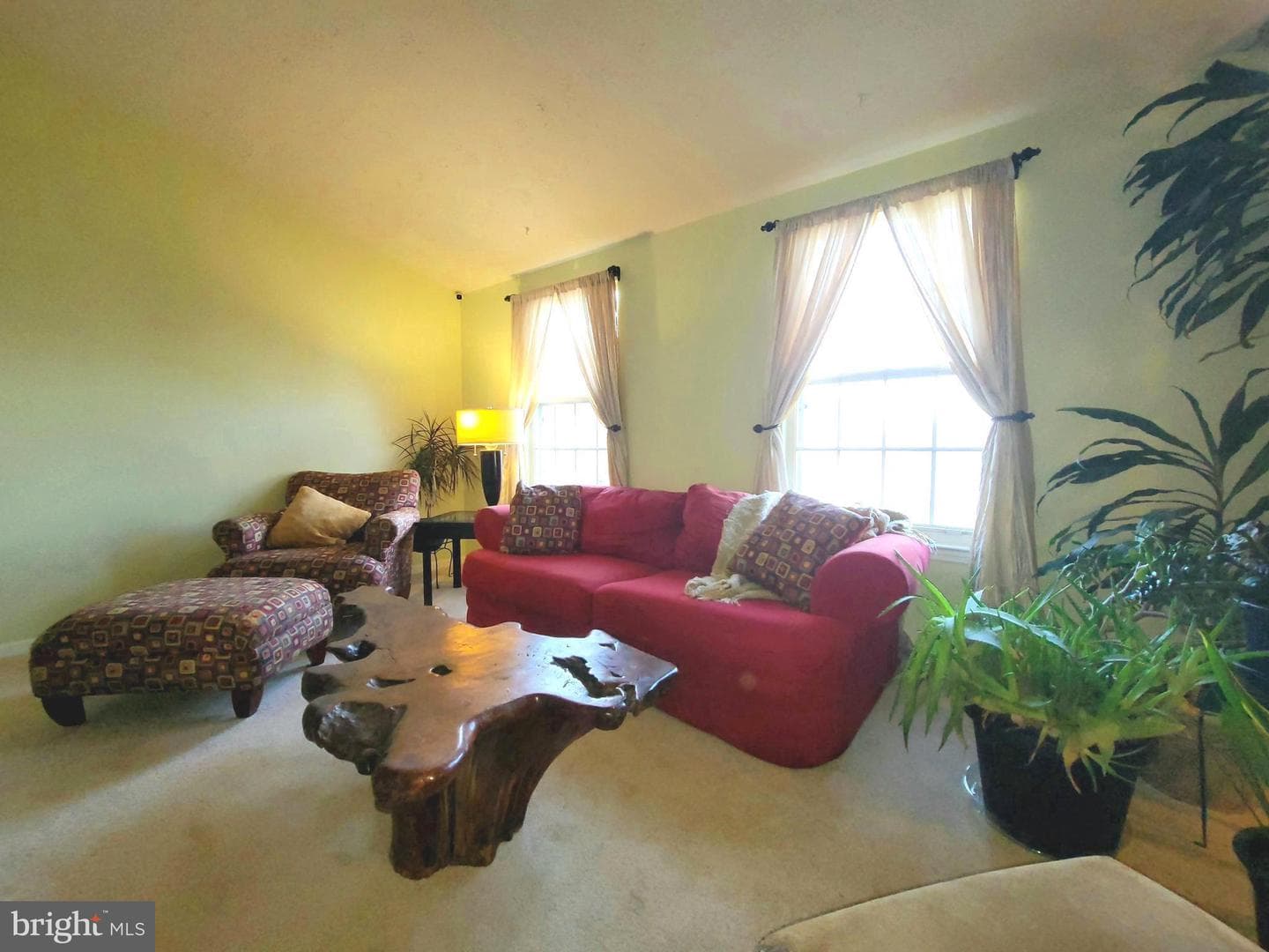 925 Hamburg Drive photo 11