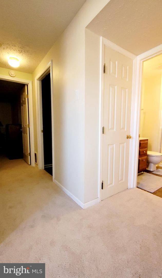 925 Hamburg Drive photo 25