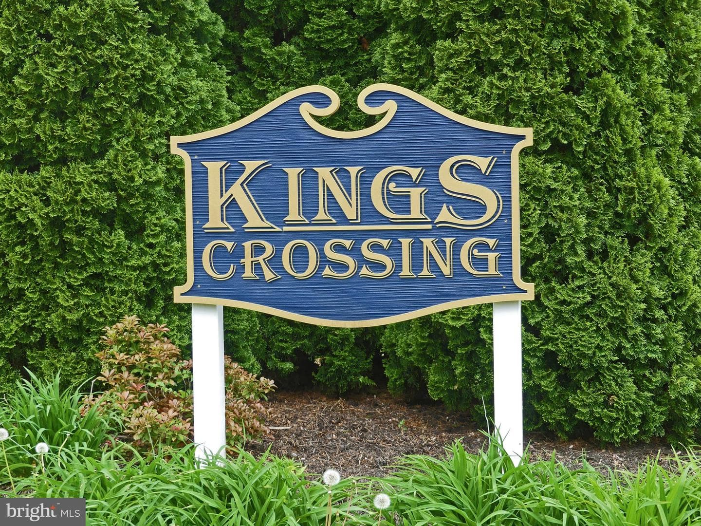 207 Kings Crossing Cir # 81 photo 30