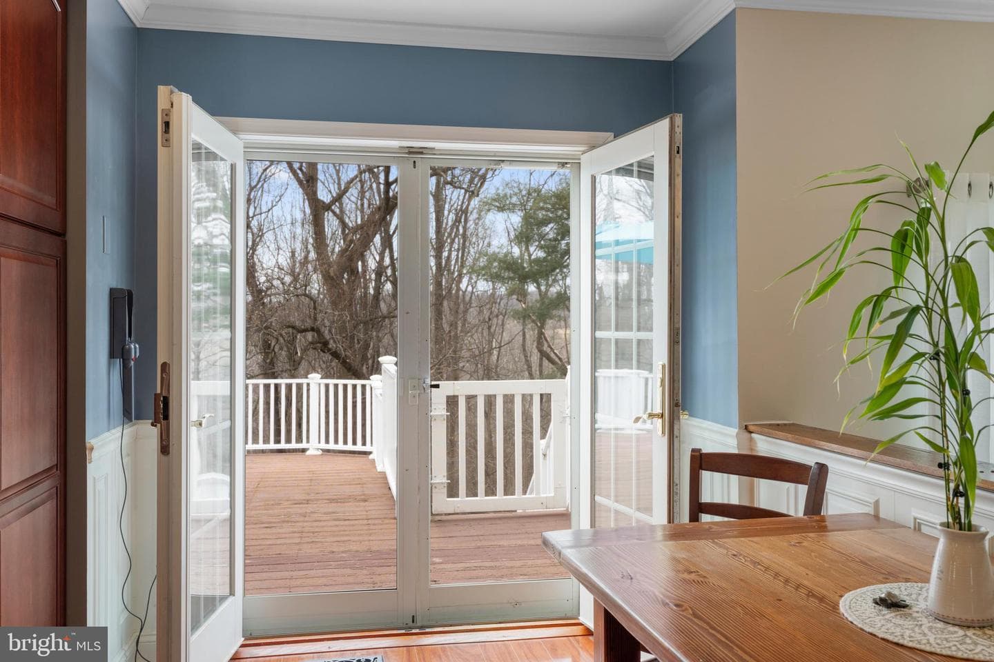 463 Crisfield Drive photo 34