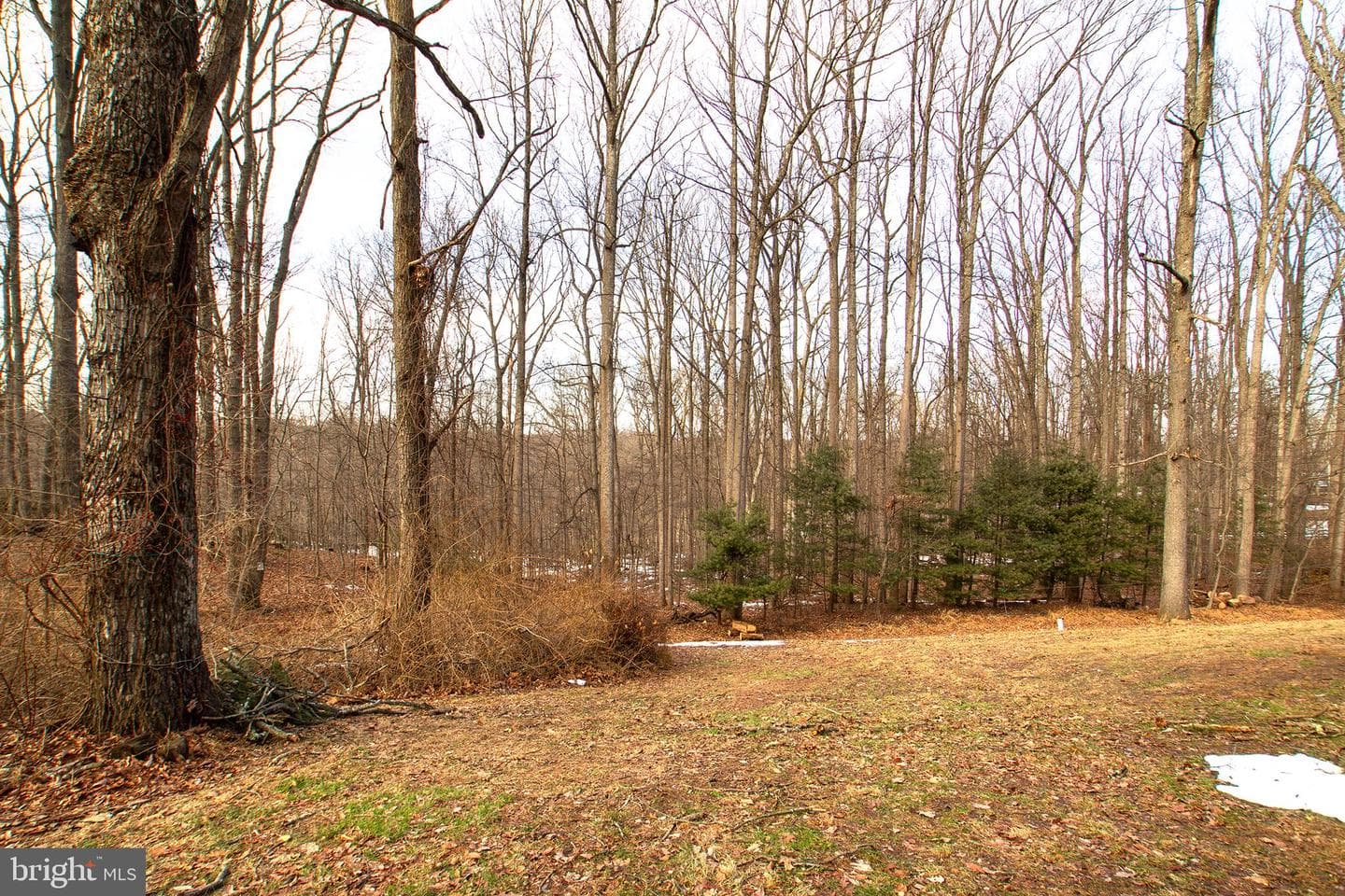 1362 Rockridge Road photo 47