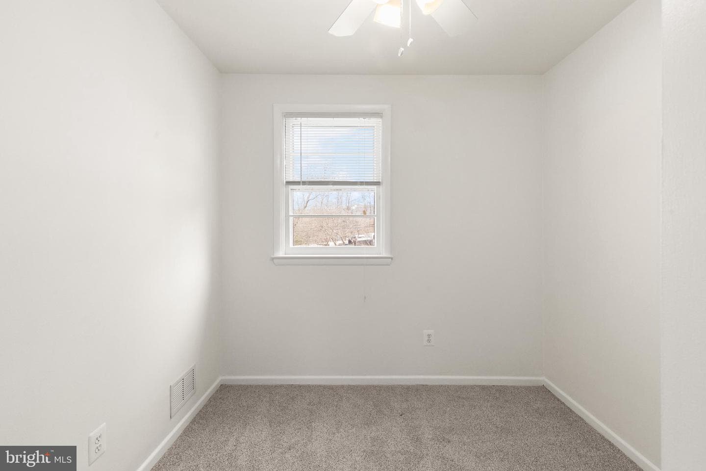 17 Shannon Drive photo 18