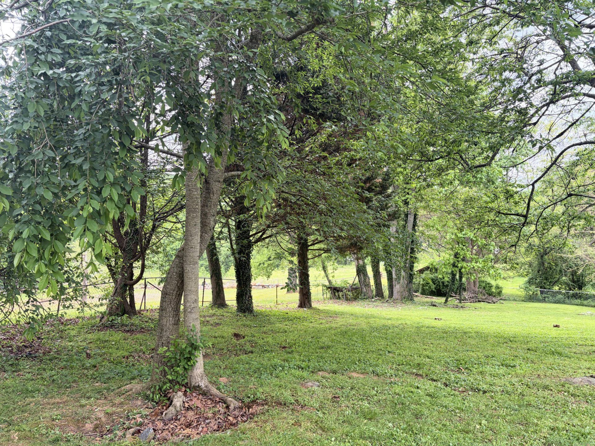 2615 Whitt Road photo 69