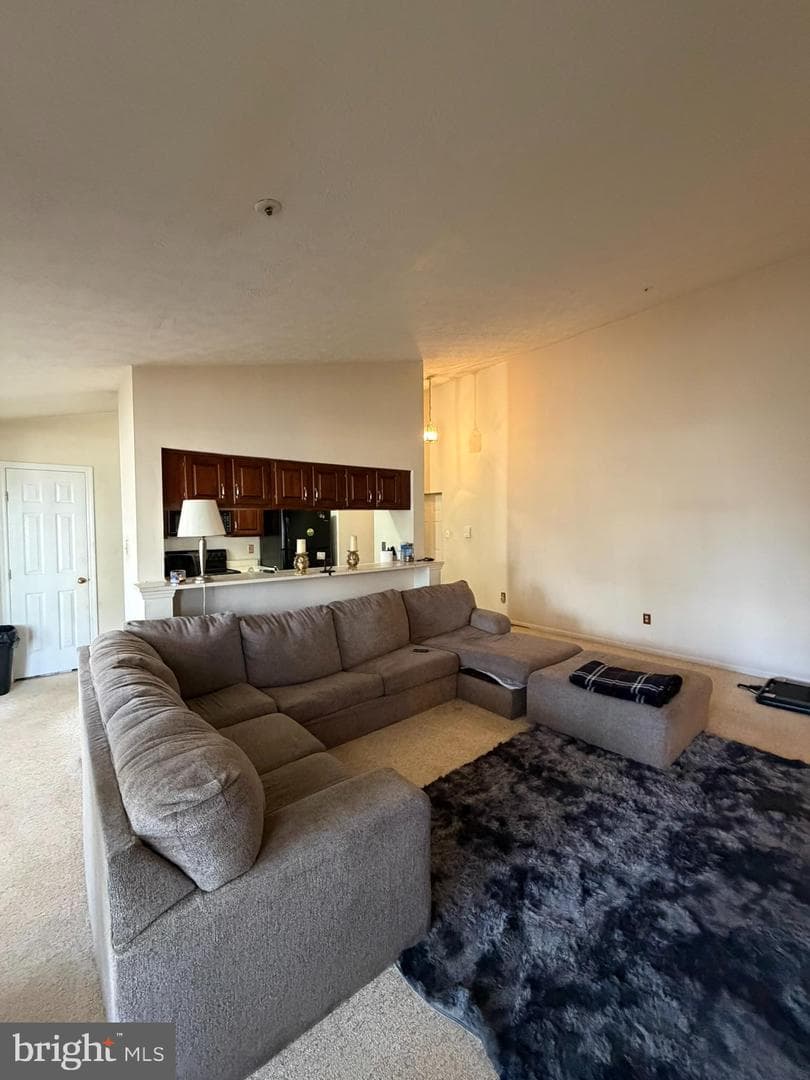 1305 Clover Valley Way #1305 photo 12