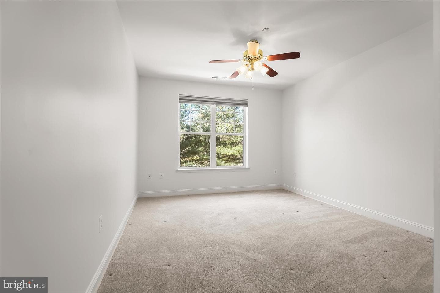 311 Tiree Court #202 photo 29