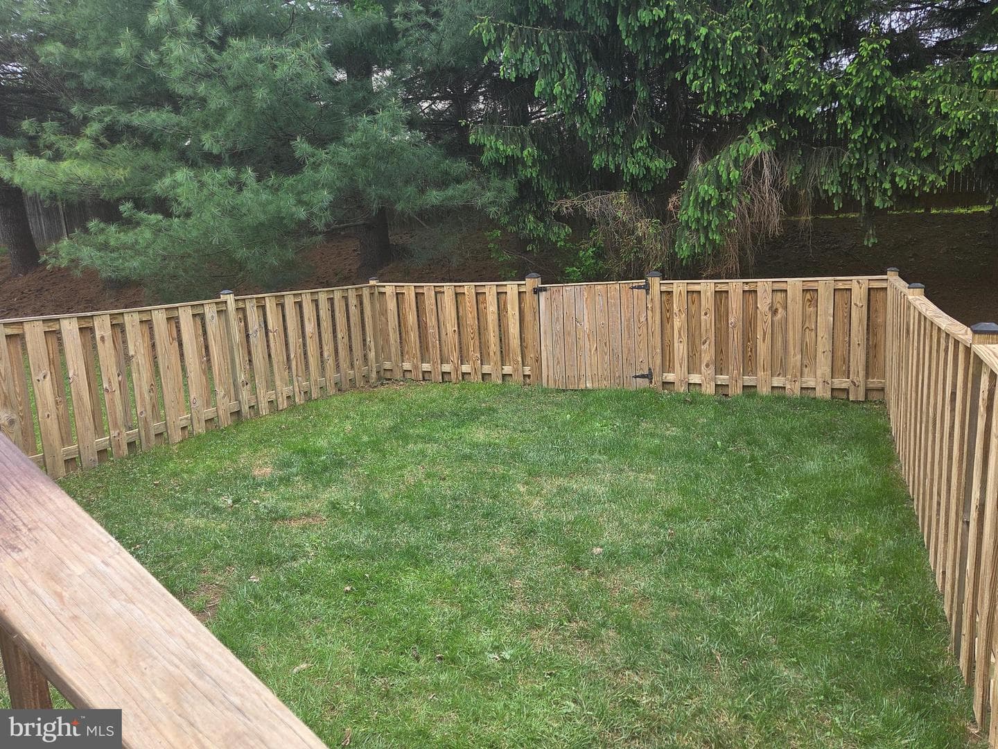 1422 Roman Ridge Way photo 48