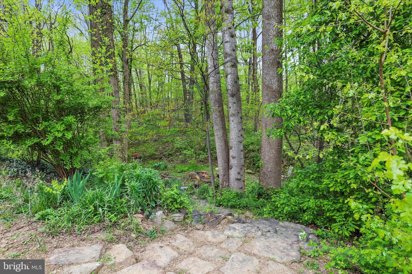 1426 Ridge Road photo 51