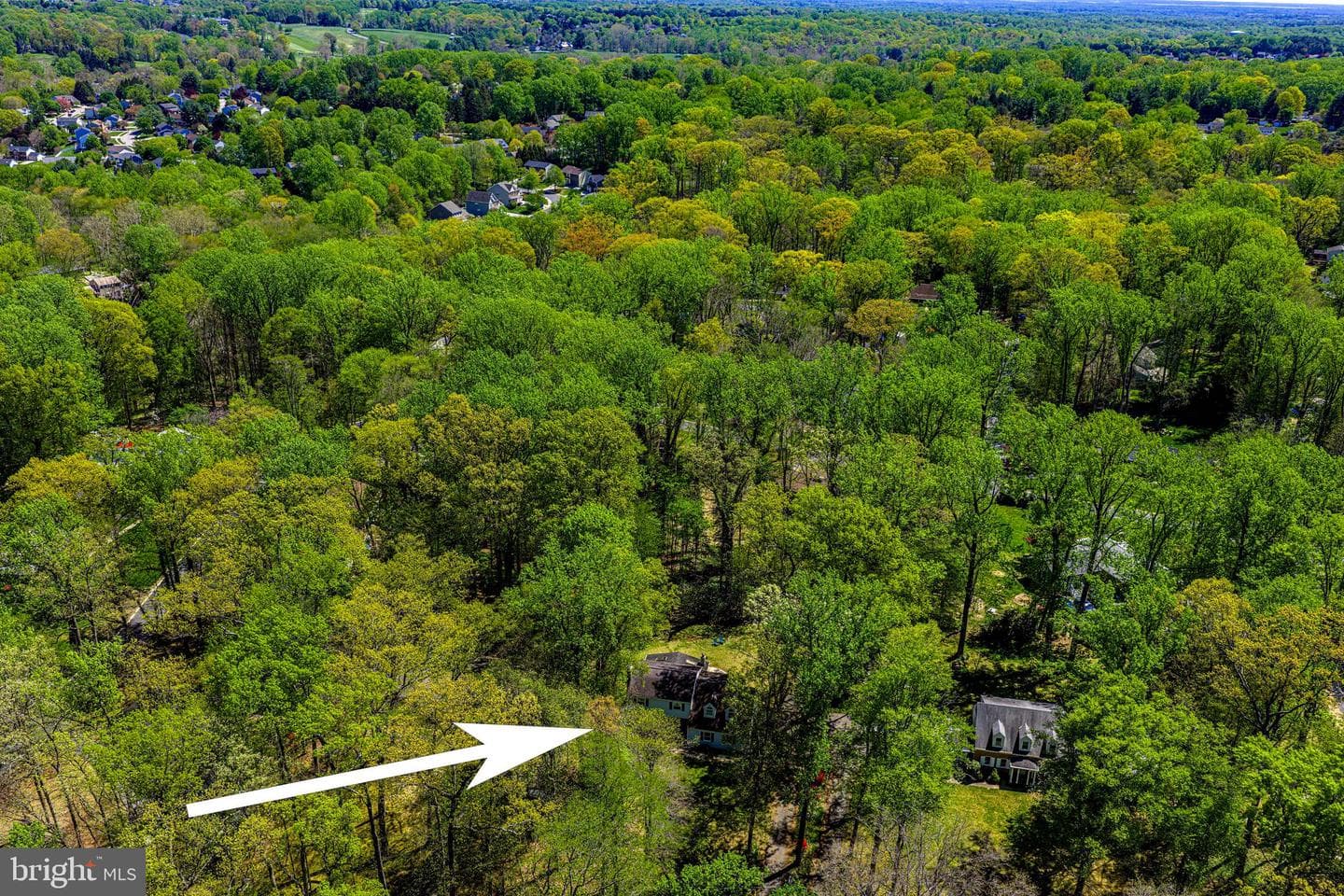204 Woodland Drive photo 37