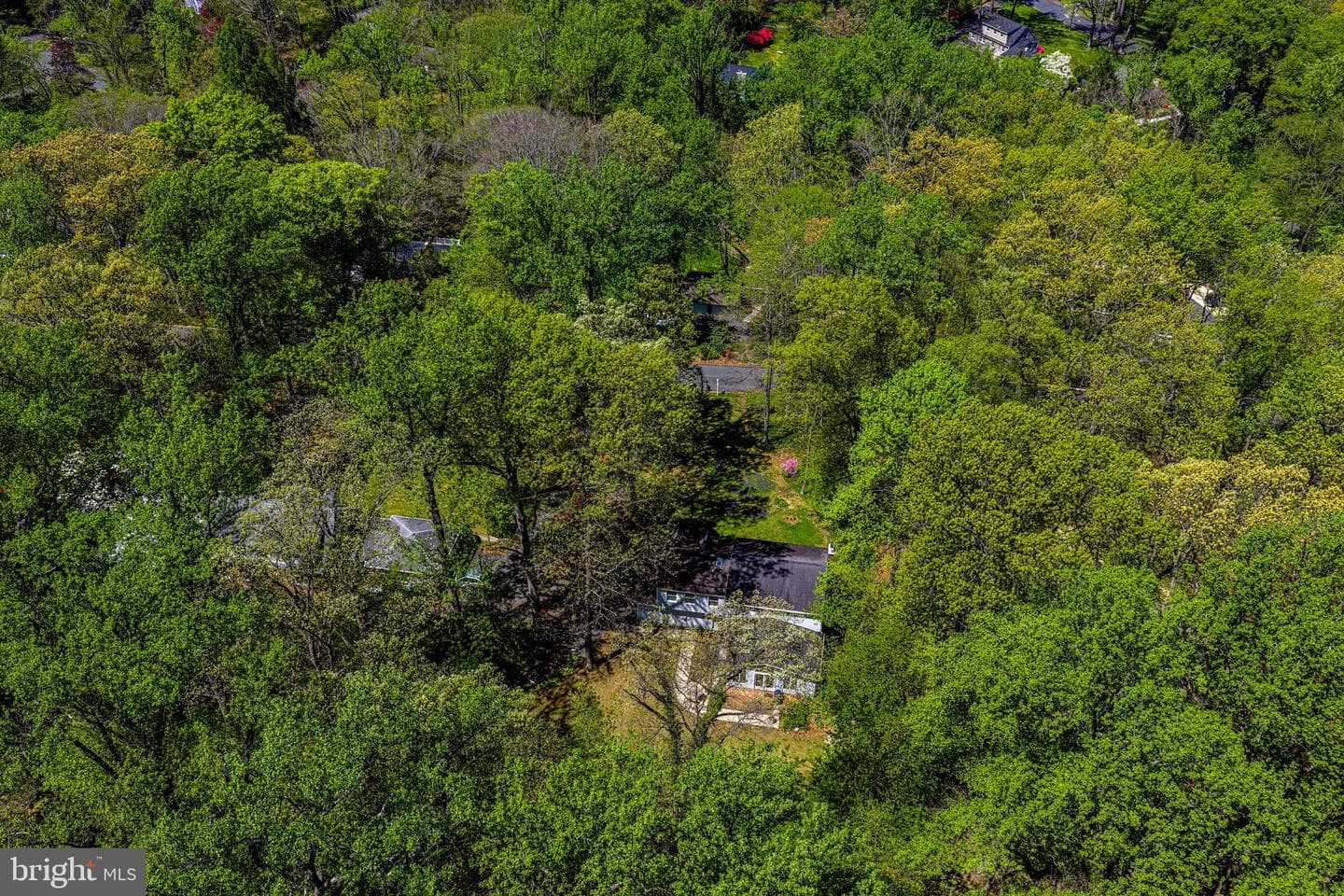 204 Woodland Drive photo 39