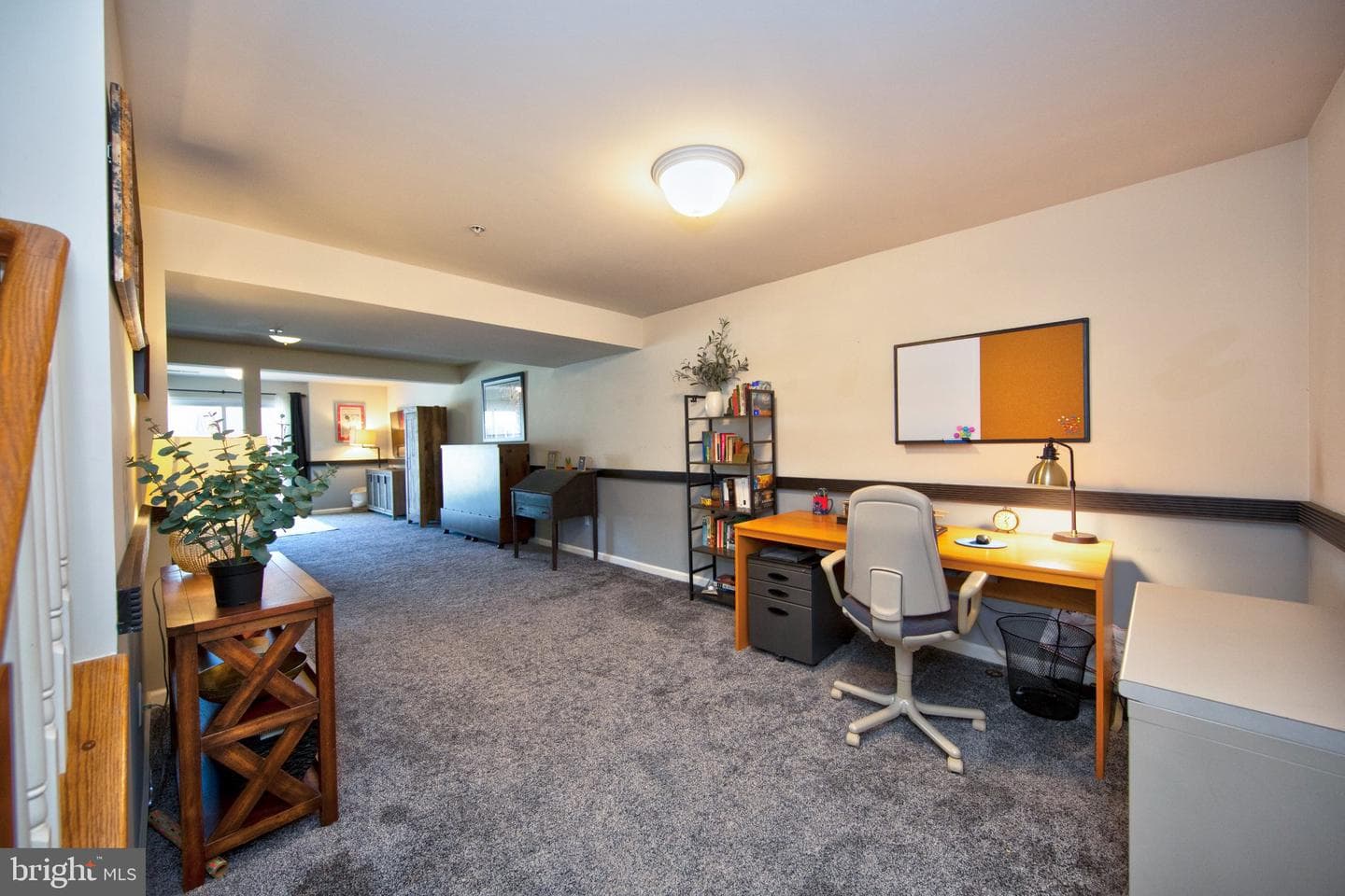 217 Steed Lane photo 30
