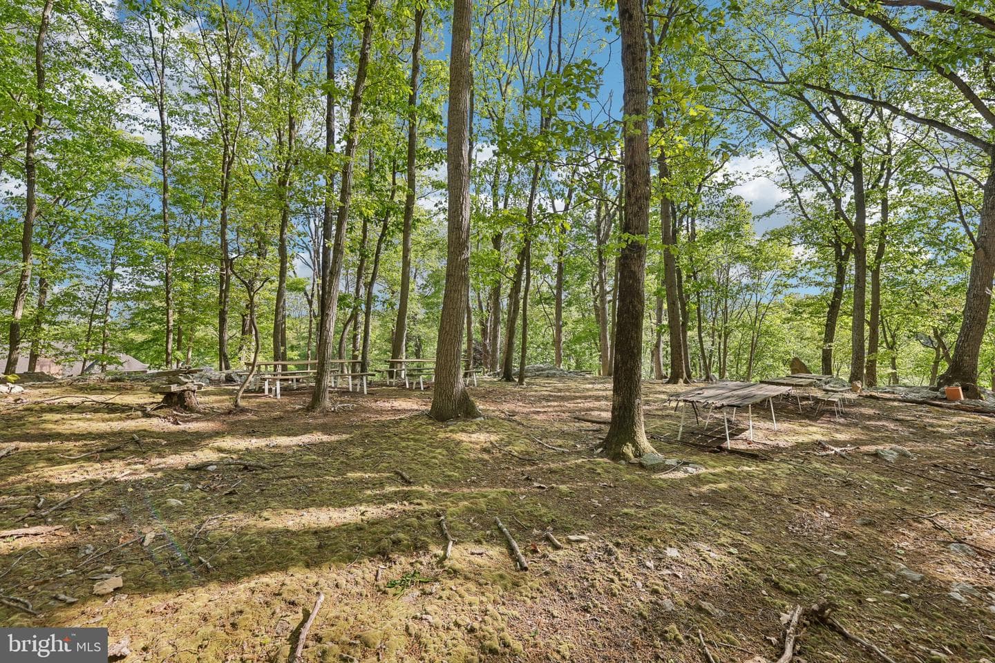 3632 Burkins Road photo 87