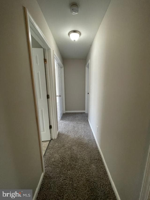 137 Baltimore Street photo 29