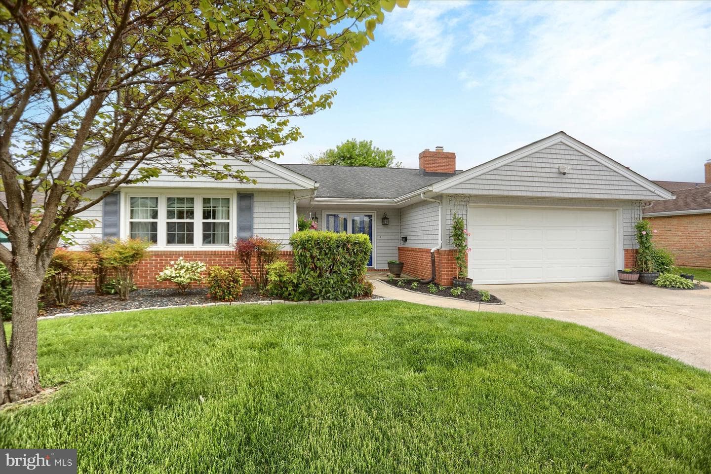 24 Neptune Drive photo 7
