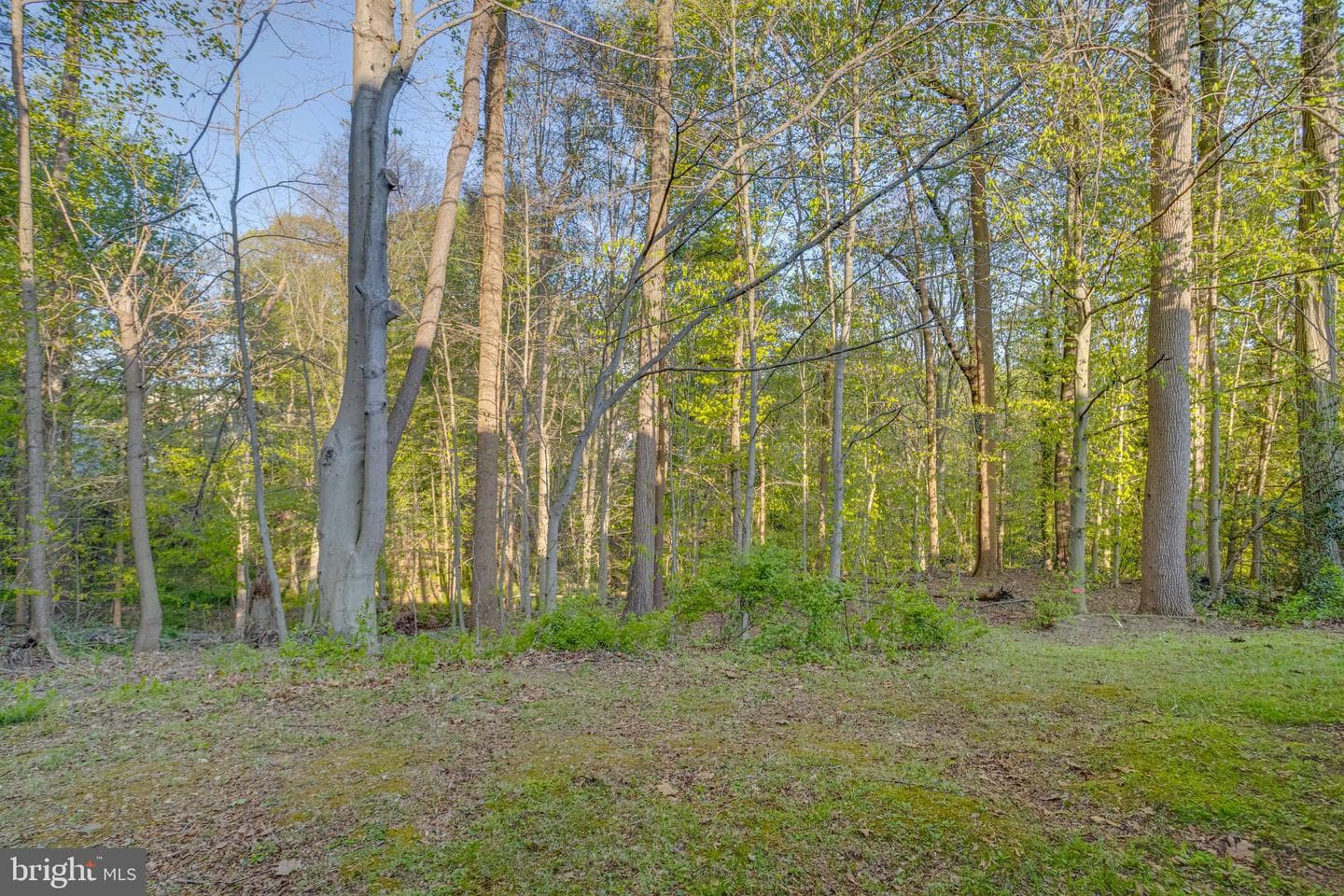 1143 Robin Hill Court photo 57