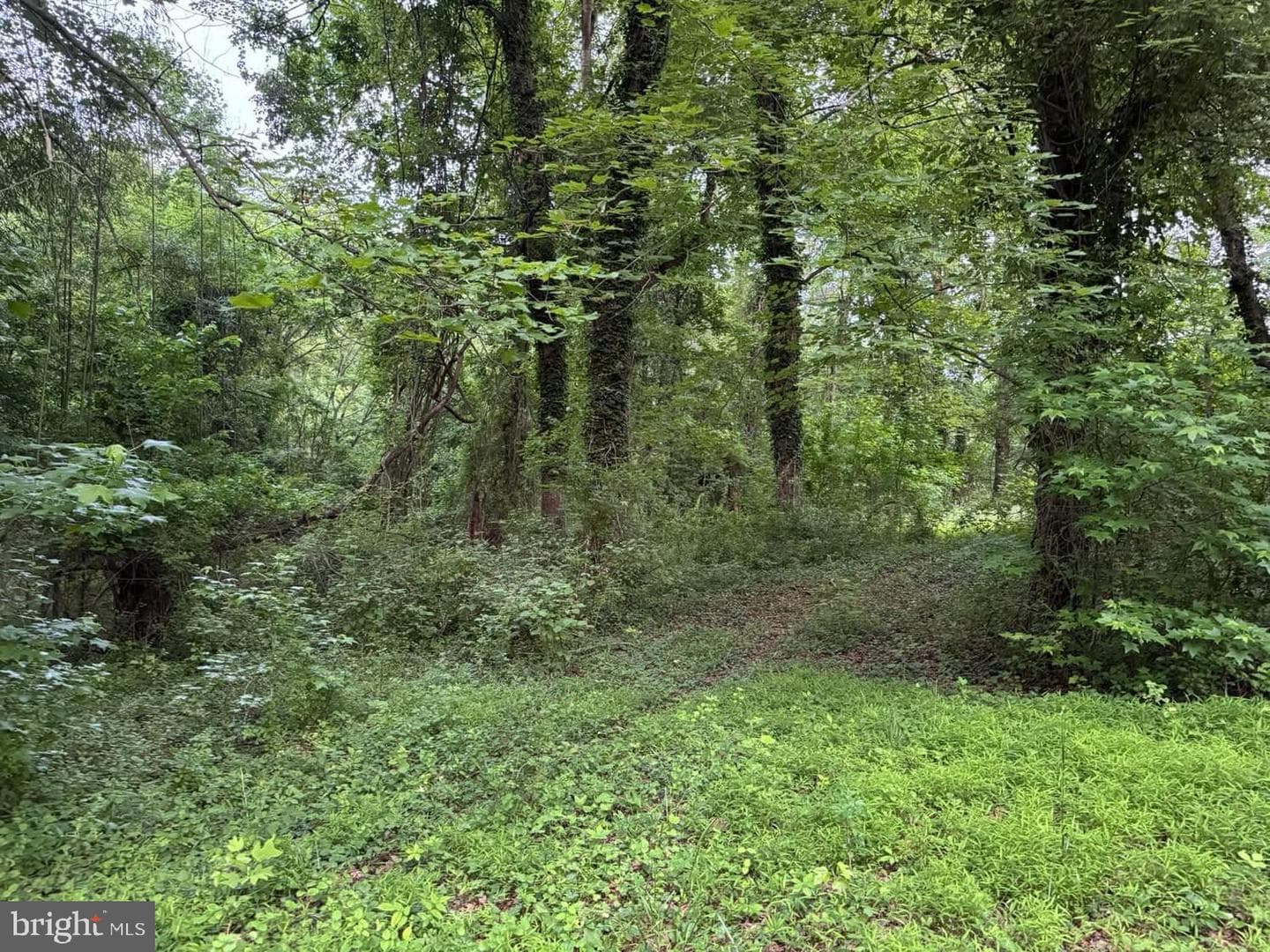 3515 Clayton Road photo 13
