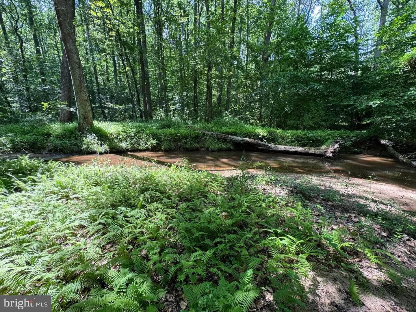 3515 Clayton Road photo 14
