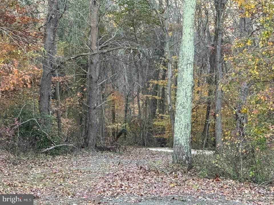 3515 Clayton Road photo 18