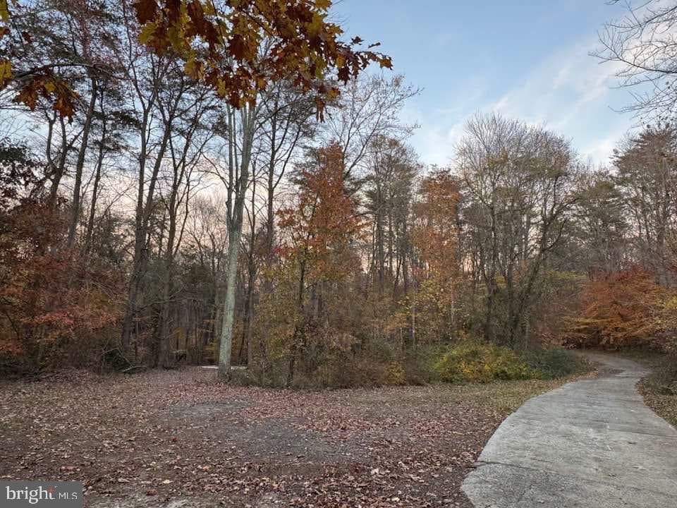 3515 Clayton Road photo 19