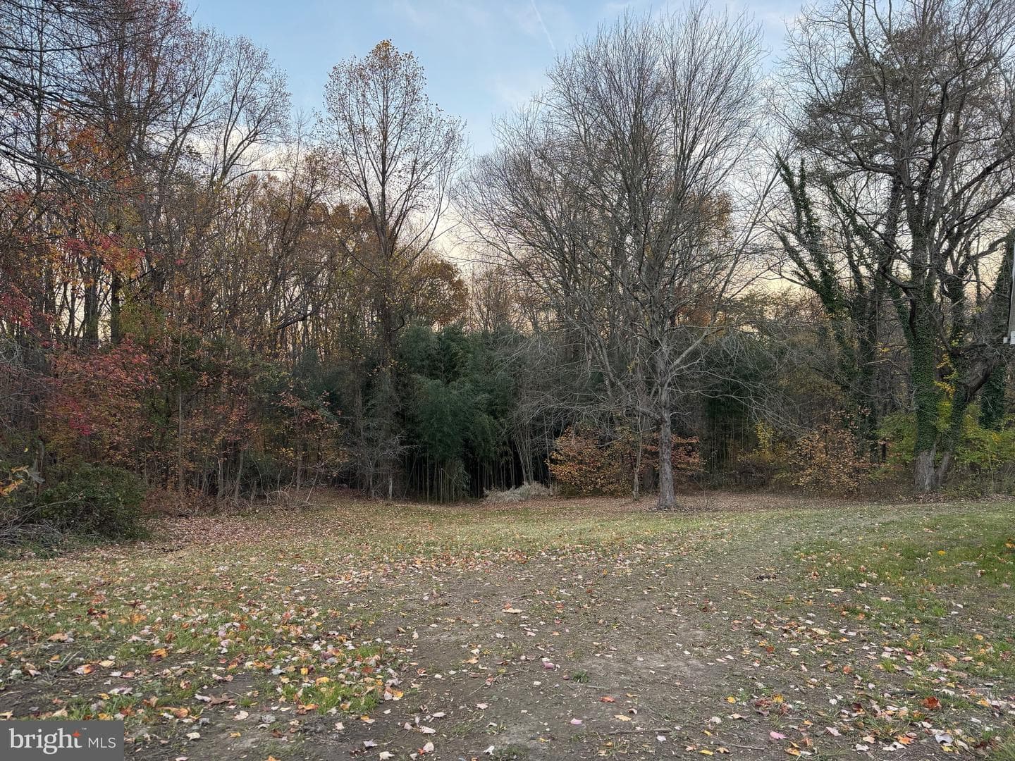 3515 Clayton Road photo 33