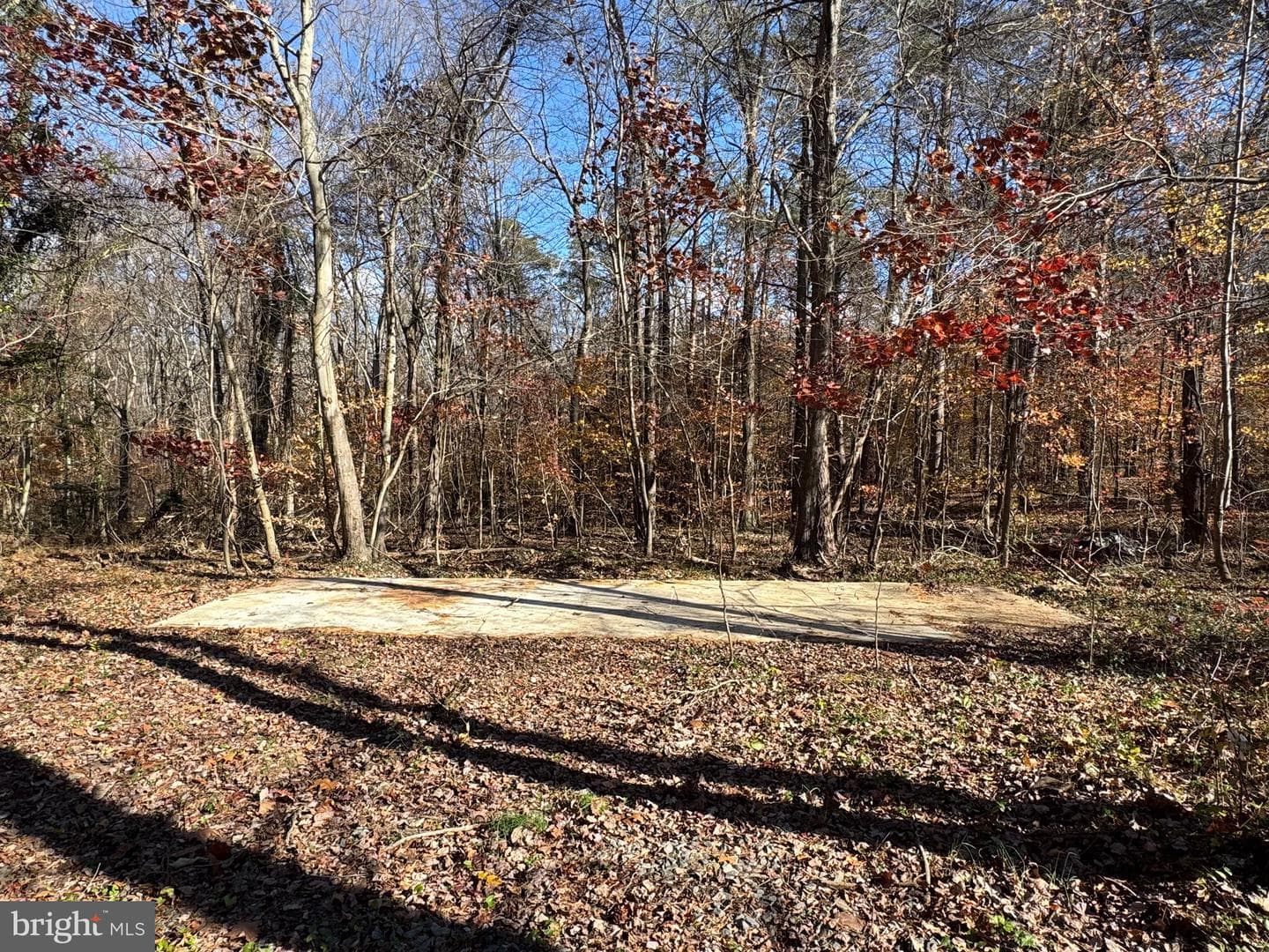 3515 Clayton Road photo 39