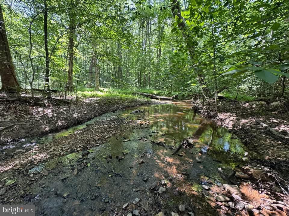 3515 Clayton Road photo 4