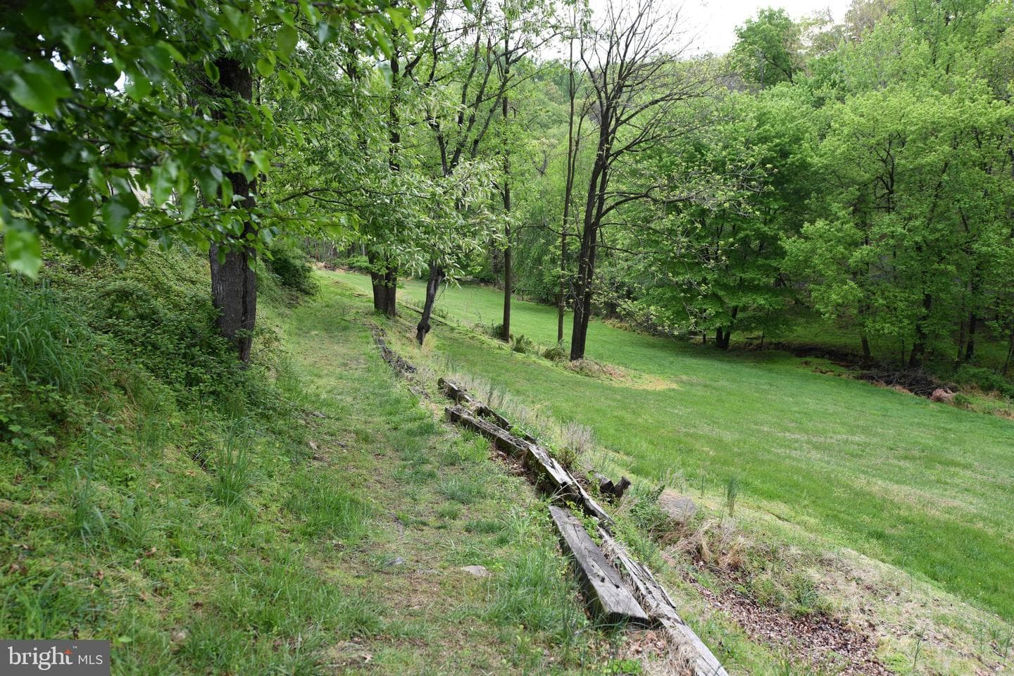 305 Rolling Knoll Drive photo 36