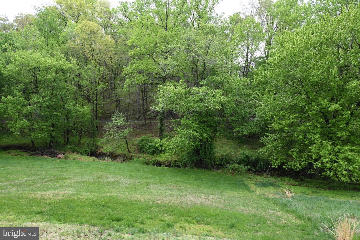 305 Rolling Knoll Drive photo 39