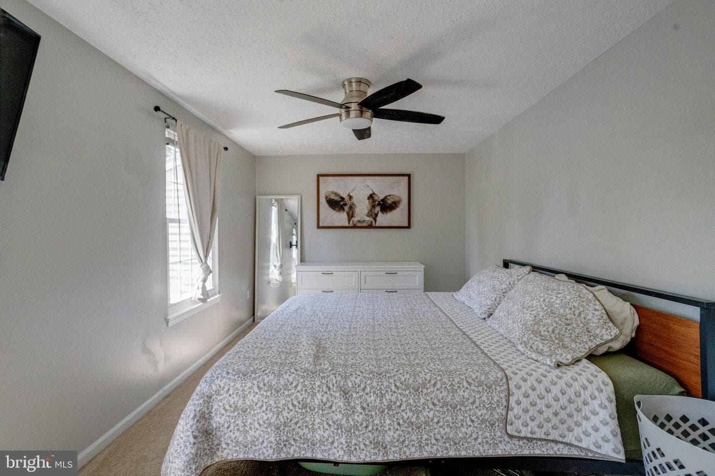 338 Delmar Court photo 17