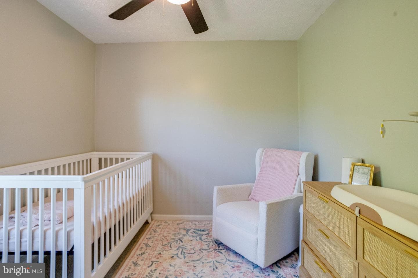 338 Delmar Court photo 23